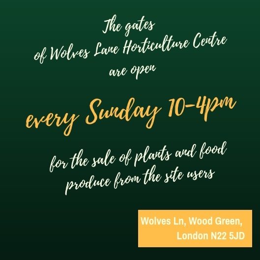 Feel free to pop in for Sunday open days!