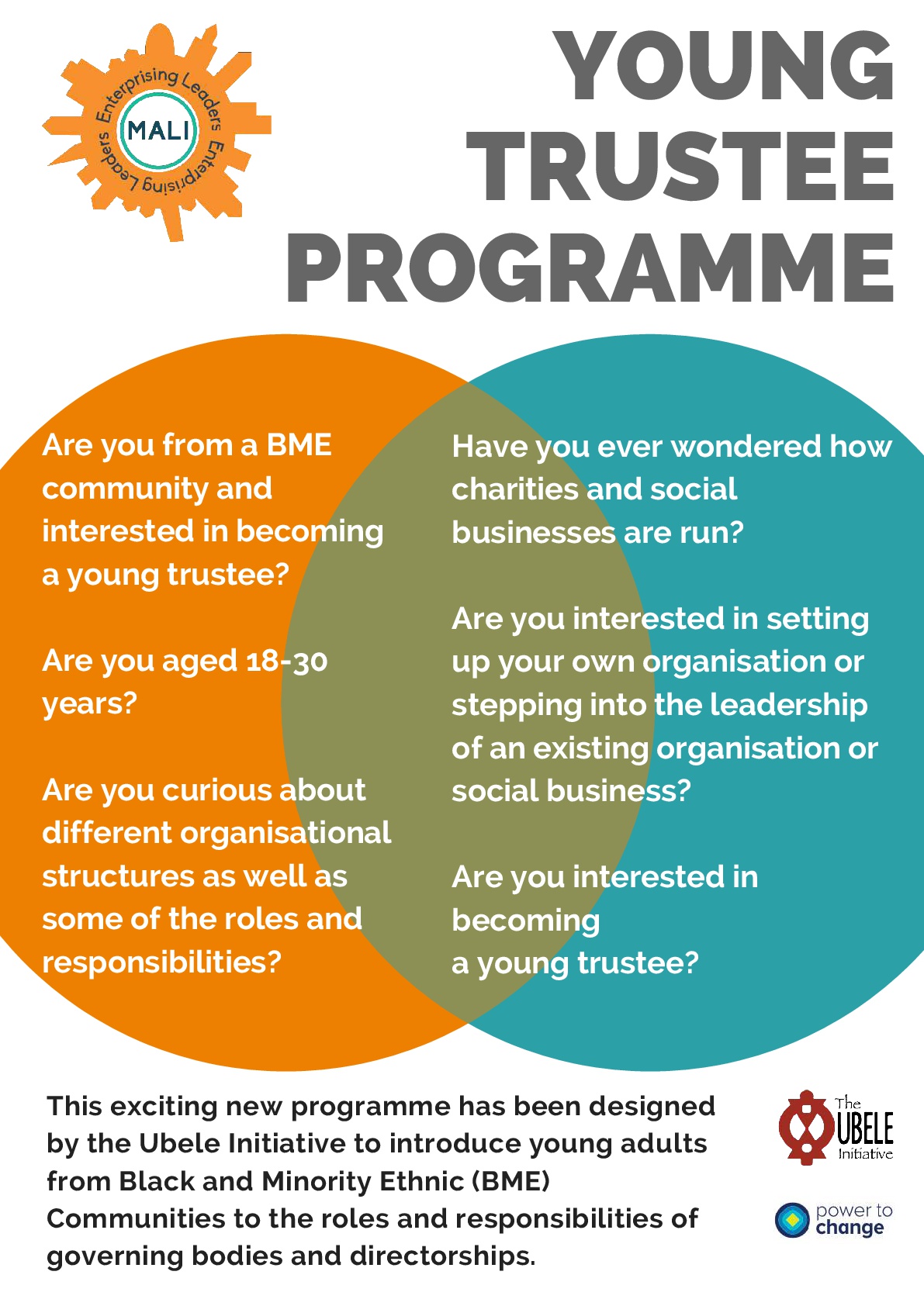 Young-Trustee-Programme-flyer-001.jpg